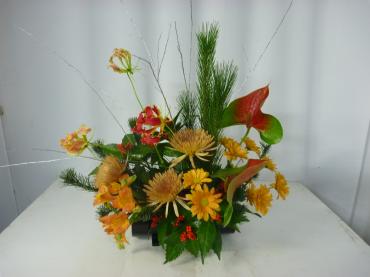 p1120538