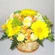 東京都港区Ｆｌｏｒｉｓｔ　Ｓｕｔｏの花　イエロー・オレンジ系おまかせアレンジメント06